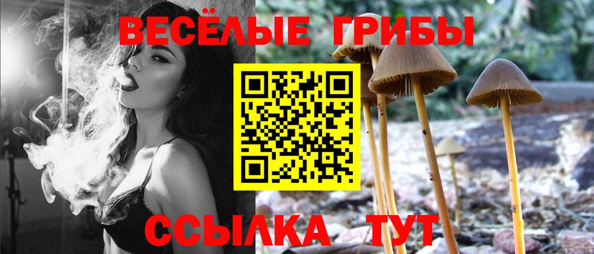 Галлюциногенные грибы ЛСД  Псилоцибиновые грибы ЛСД  Изобильный  Вход с VPN 