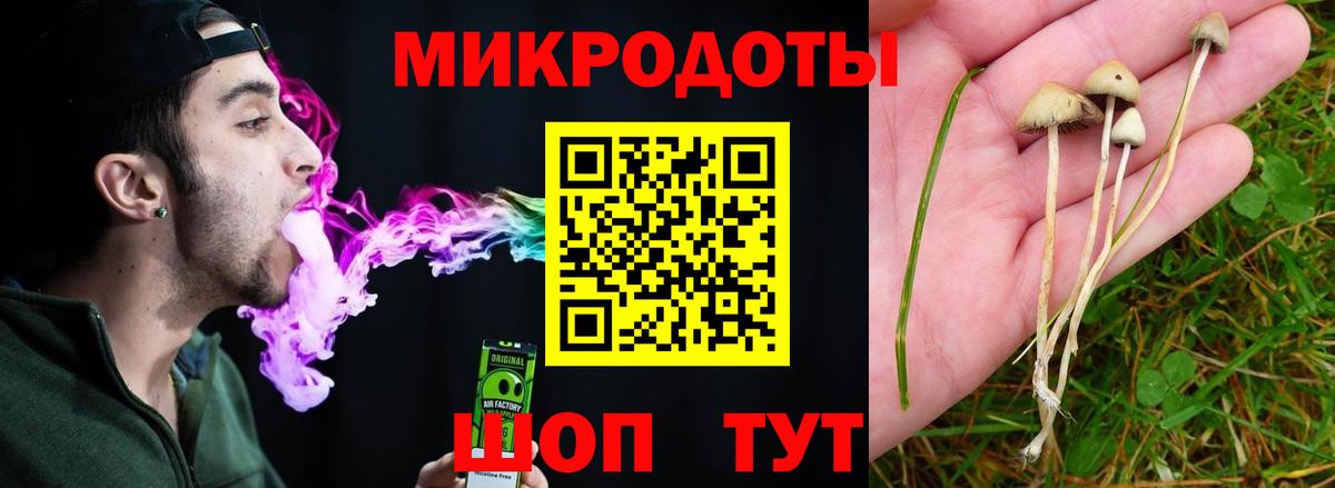 Псилоцибиновые грибы GOLDEN TEACHER Изобильный