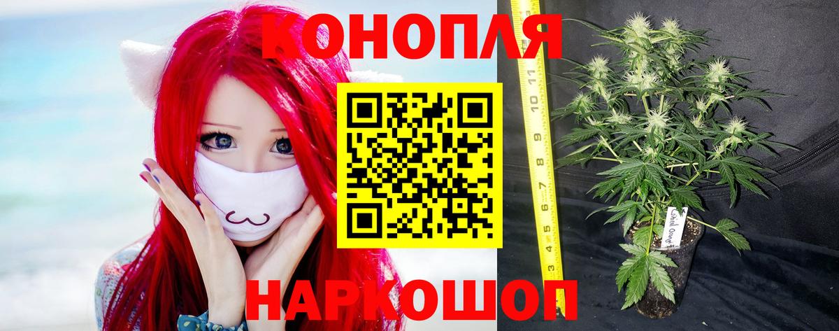 Каннабис THC 21%  Бошки Шишки Ganja  Каннабис Ganja  Вход с VPN  Изобильный 